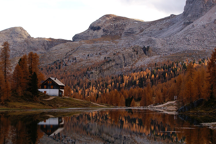 Croda da Lago/Palmieri Gianni