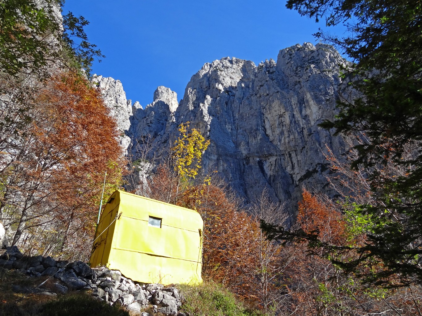 Valdo Matilde e Umberto