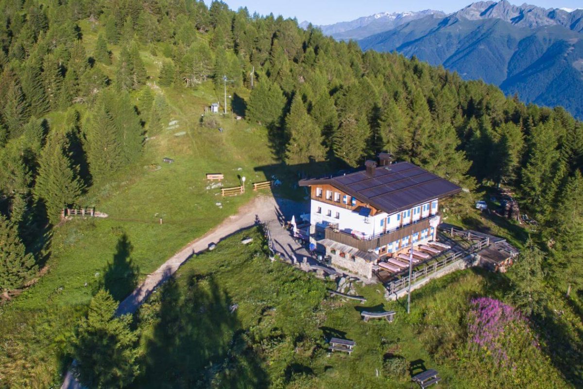 Peller