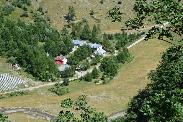 Talarico Alfredo