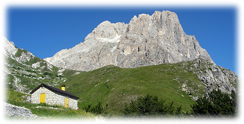 D'Arcangelo Nicola