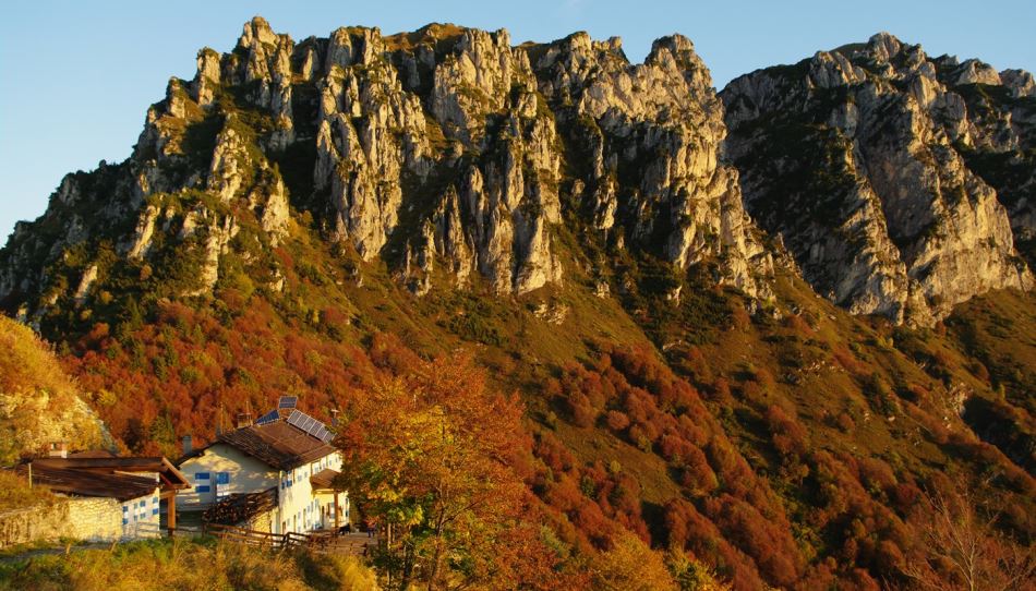 Bocca Di Trat/Pernici Nino