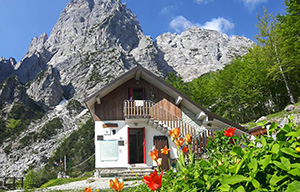Grauzaria