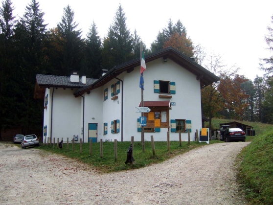 Paludei